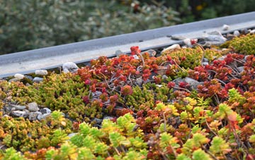 the cost of Codrington green roof installation