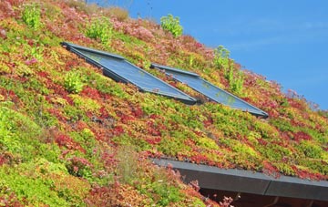 Codrington living roof systems