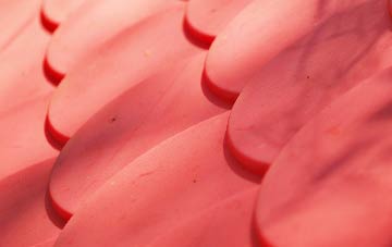 Codrington plastic roof costs