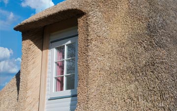 Codrington thatch roof disadvantages