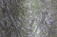 Codrington fibreglass roof work